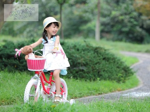 RoyalBaby Rower dziewczęcy STAR GIRL 14cal niebieski RB14G-1 RoyalBaby Rower dziewczęcy STAR GIRL 14cal niebieski RB14G-1