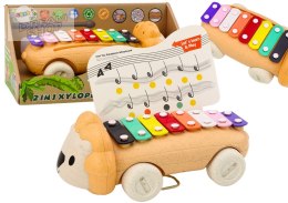 Cymbałki Lew Na Kółkach Instrument Dla Dzieci Kolorowe Edukacyjne