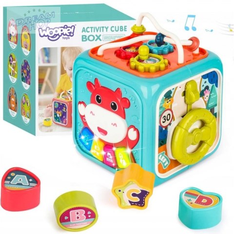 WOOPIE Kostka Sensoryczna Edukacyjna Montessori Sorter 6w1 WOOPIE Kostka Sensoryczna Edukacyjna Montessori Sorter 6w1