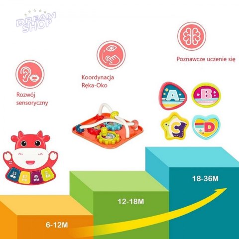 WOOPIE Kostka Sensoryczna Edukacyjna Montessori Sorter 6w1 WOOPIE Kostka Sensoryczna Edukacyjna Montessori Sorter 6w1