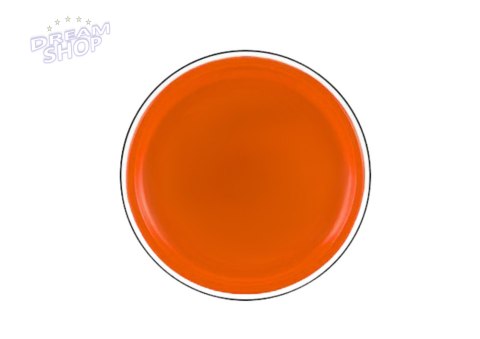 Dysk Latający Frisbee z Dinozaurem Pomarańczowy 20 Cm Dysk Latający Frisbee z Dinozaurem Pomarańczowy 20 Cm