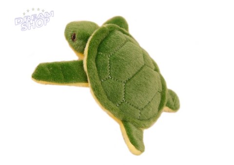 Żółw Pluszowy Maskotka Brelok Piszczałka Zielony 15 Cm Żółw Pluszowy Maskotka Brelok Piszczałka Zielony 15 Cm
