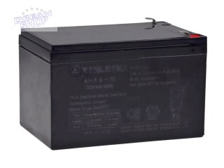 Akumulator 12V 10Ah SER044