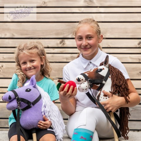 Smaczki dla Hobby Horse - marchewka kapusta jabłko rzodkiewka cukier Smaczki dla Hobby Horse - marchewka kapusta jabłko rzodkiewka cukier