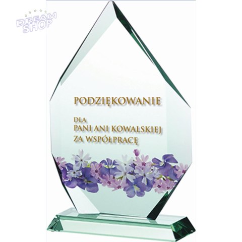 Trofeum szklane z nadrukiem kolorowym LuxorJet, grawerowaniem oraz wypełnieniem farbą i etui