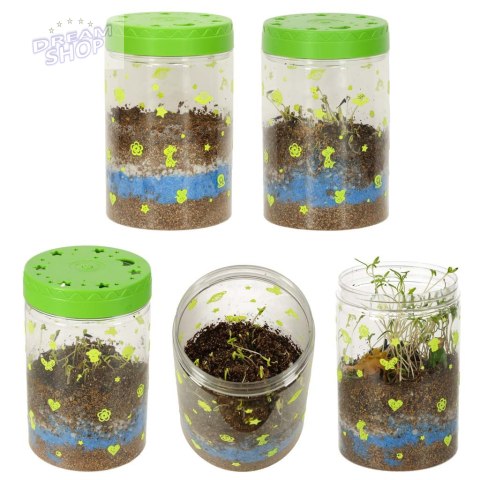 Hodowla dinozaurów terrarium projektor z lampką nocną LED