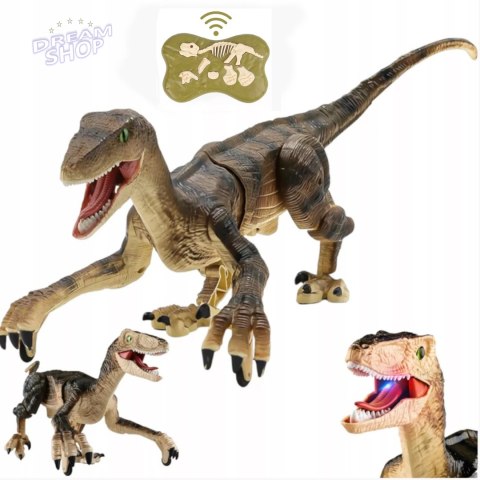 Dinozaur Velociraptor zdalnie sterowany pilot port usb dźwięki QX023 Dinozaur Velociraptor zdalnie sterowany pilot port usb dźwięki QX023