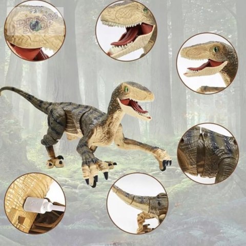 Dinozaur Velociraptor zdalnie sterowany pilot port usb dźwięki QX023 Dinozaur Velociraptor zdalnie sterowany pilot port usb dźwięki QX023