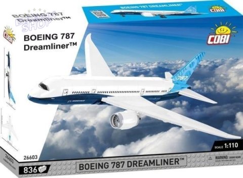 Boeing 787 Dreamliner Boeing 787 Dreamliner