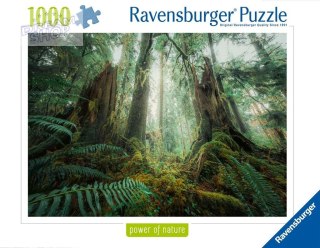 Puzzle 1000 Lasy