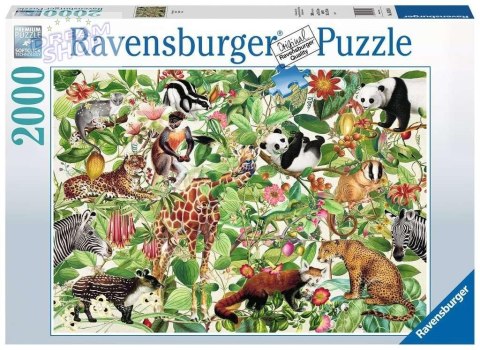 Puzzle 2000 Dżungla Puzzle 2000 Dżungla
