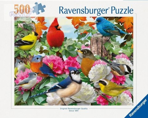 Puzzle 2D 500 Ptaki ogrodowe Puzzle 2D 500 Ptaki ogrodowe