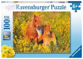 Puzzle XXL 100 Kucyki