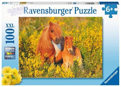 Puzzle XXL 100 Kucyki Puzzle XXL 100 Kucyki