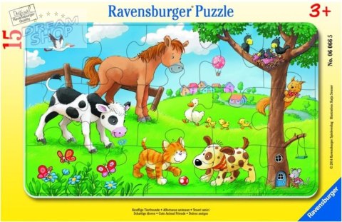 Puzzle 15 Miłosnicy słodkich zwierząt