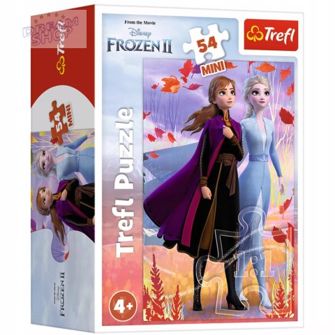 Puzzle 54 mini Frozen Kraina Lodu Anna Elsa 54 elementy Trefl 19639