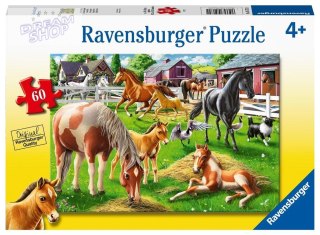 Puzzle 60 Szczęśliwe konie