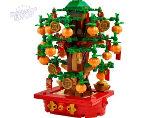 LEGO 40648 Pachira