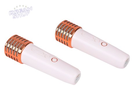 Mikrofony z głośnikiem bezprzewodowy + bluetooth + 2 mikrofony IN0178 Mikrofony z głośnikiem bezprzewodowy + bluetooth + 2 mikrofony IN0178