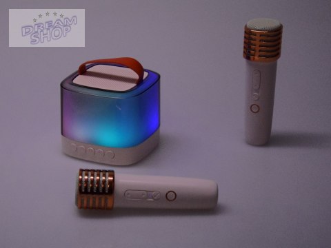 Mikrofony z głośnikiem bezprzewodowy + bluetooth + 2 mikrofony IN0178 Mikrofony z głośnikiem bezprzewodowy + bluetooth + 2 mikrofony IN0178