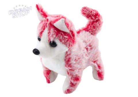 Piesek Husky Chodzący Z Dźwiękiem Macha Ogonkiem 6 Kolorów Piesek Husky Chodzący Z Dźwiękiem Macha Ogonkiem 6 Kolorów