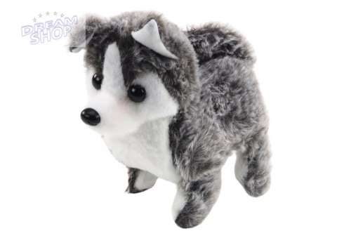 Piesek Husky Chodzący Z Dźwiękiem Macha Ogonkiem 6 Kolorów Piesek Husky Chodzący Z Dźwiękiem Macha Ogonkiem 6 Kolorów