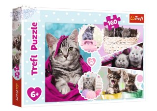 Puzzle 160 el. Urocze kotki Trefl 15371