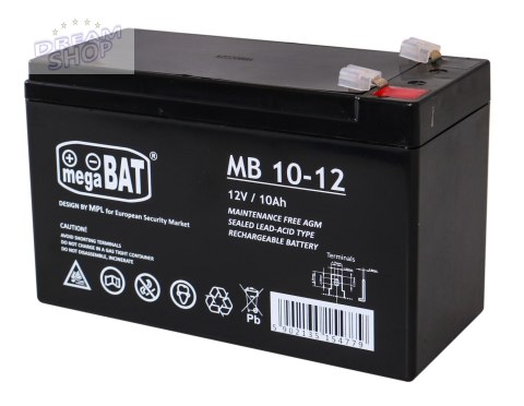 Akumulator żelowy 12V/10Ah do pojazdów elektrycznych dla dzieci Część zapasowa Akumulator żelowy 12V/10Ah do pojazdów elektrycznych dla dzieci Część zapasowa