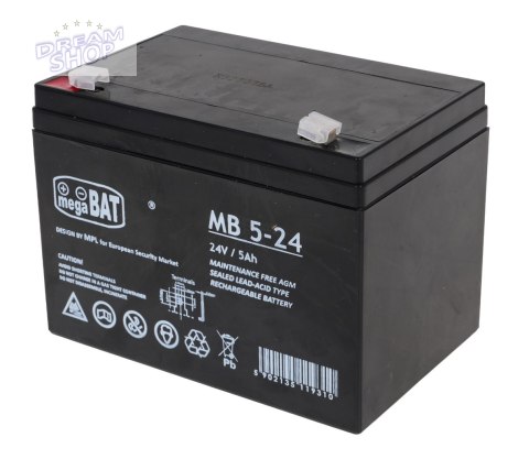 Akumulator żelowy 24V/5Ah do pojazdów elektrycznych dla dzieci Część zapasowa Akumulator żelowy 24V/5Ah do pojazdów elektrycznych dla dzieci Część zapasowa