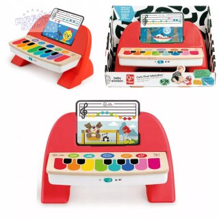 Magiczne dotykowe pianinko organy Value 6m+ Baby Einstein Hape Trefl 800894