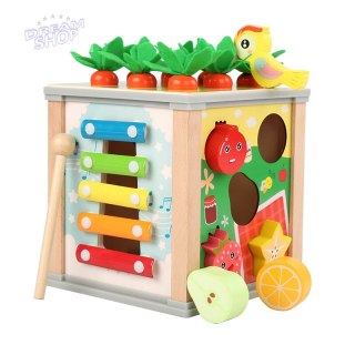 Drewniana Kostka Edukacyjna Sorter 5W1 Układanka Skrzynka Klocki