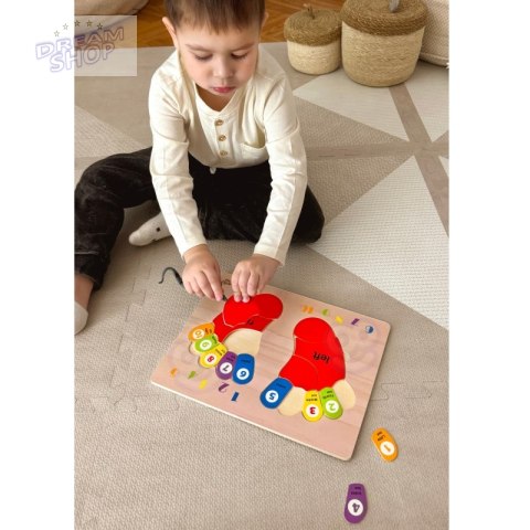 TOOKY TOY Edukacyjna Drewniana Układanka Stopy Nauka Liczenia i Kolorów TOOKY TOY Edukacyjna Drewniana Układanka Stopy Nauka Liczenia i Kolorów