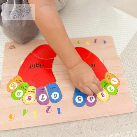 TOOKY TOY Edukacyjna Drewniana Układanka Stopy Nauka Liczenia i Kolorów TOOKY TOY Edukacyjna Drewniana Układanka Stopy Nauka Liczenia i Kolorów
