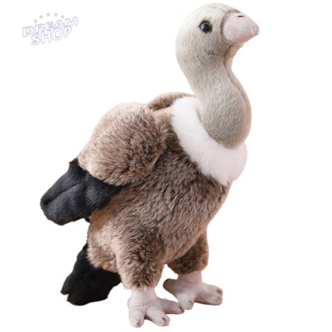 Pluszowy Sęp Ptak Pluszak Maskotka Przytulanka 25cm Pluszowy Sęp Ptak Pluszak Maskotka Przytulanka 25cm