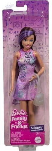 Barbie Family&Friends Lalka Skipper JBF41