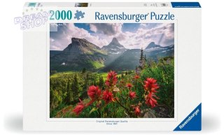 Puzzle 2000 Krajobraz