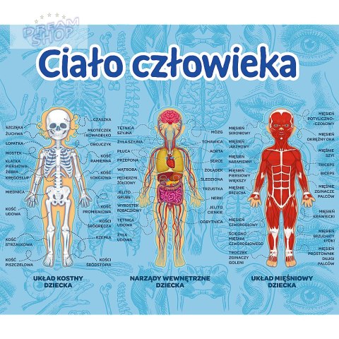 Gra Edukacyjna Ciało człowieka/ Mistrz Wiedzy Trefl 01957 Gra Edukacyjna Ciało człowieka/ Mistrz Wiedzy Trefl 01957