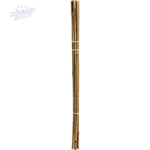 PODPORA DO ROŚLIN 150cm BAMBUS 10SZT PROGARDEN