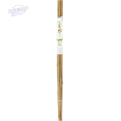 PODPORA DO ROŚLIN 150cm BAMBUS 10SZT PROGARDEN