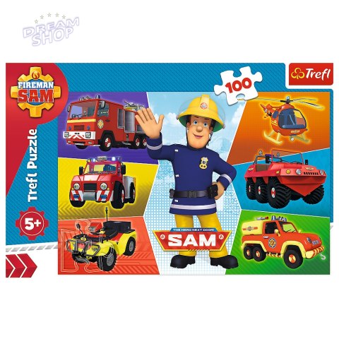 Puzzle - 100 - Pojazdy Strażaka Sama - Prism A and D Fireman Sam 16354