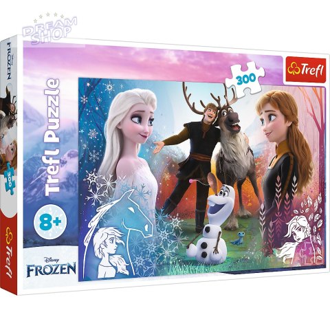 Puzzle - 300 - Magiczny czas - Disney Frozen 2 23006