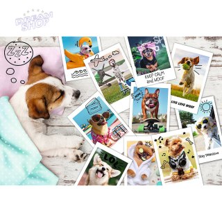Puzzle - "300" - Zdjęcia z wakacji / Trefl 23003
