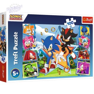 Puzzle - "100" - Poznaj Sonica Trefl 16465