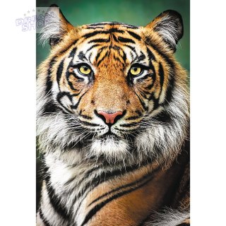 Puzzle - "1500" - Portret tygrysa Trefl 26204