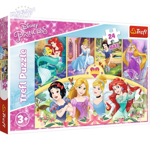 Puzzle - 24 Maxi - Magia wspomnień - Disney Princess 14294 Puzzle - 24 Maxi - Magia wspomnień - Disney Princess 14294