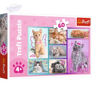 Puzzle - "60"- Słodkie kociaki / Trefl 17373