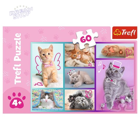 Puzzle - "60"- Słodkie kociaki / Trefl 17373 Puzzle - "60"- Słodkie kociaki / Trefl 17373