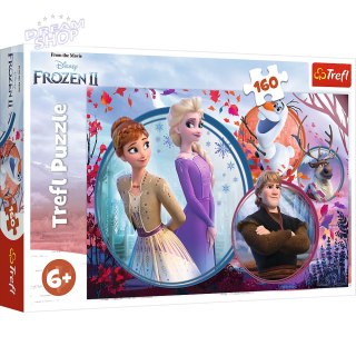 Puzzle - 160 - Siostrzana przygoda - Disney Frozen Trefl 15374