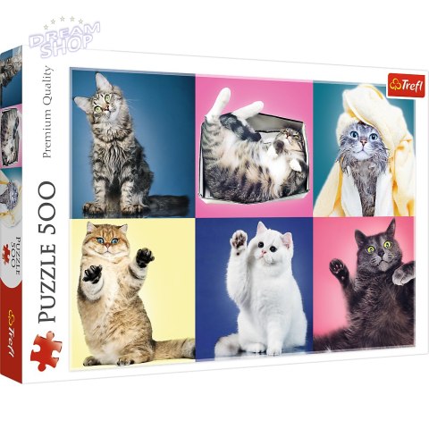 Puzzle 500 el. Kociaki Trefl 37377 Puzzle 500 el. Kociaki Trefl 37377