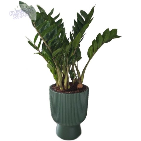 DONICZKA DO KWIATÓW MILLY NA NODZE ŚR 24CM JASNY SZARY